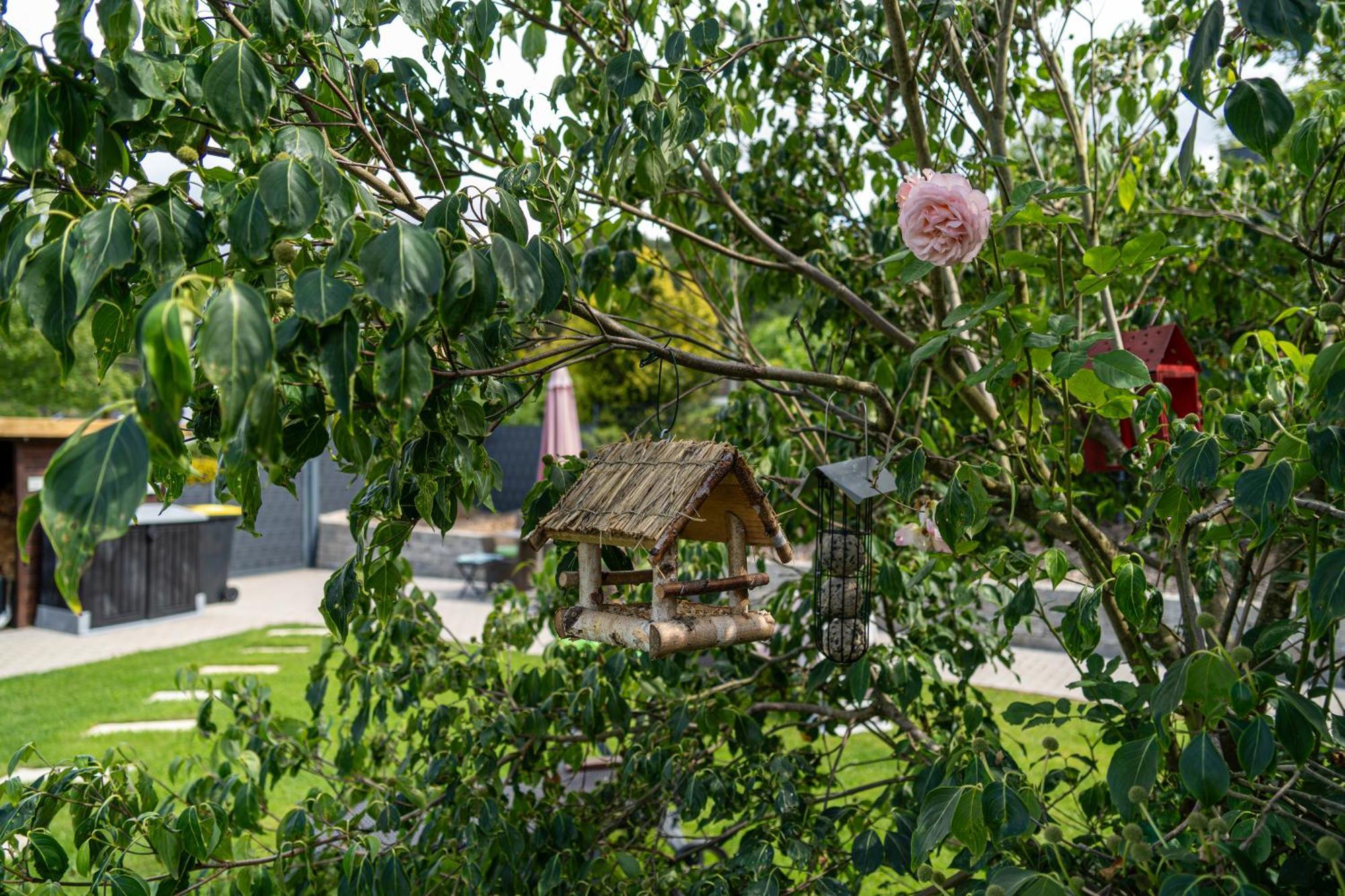 Apartamento Wolke Siegen Exterior foto